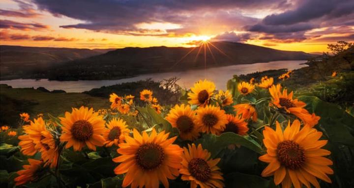 Elizabeth Lambert 3R Method