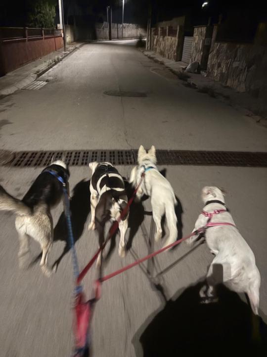 Cristina Menacho Rodriguez