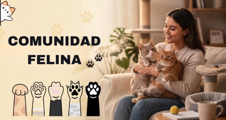 Comunidad Felina