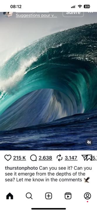 Carole de FAUCAMBERGE