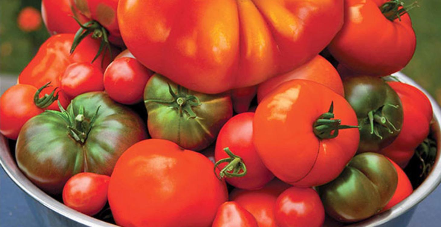 Tomatoes