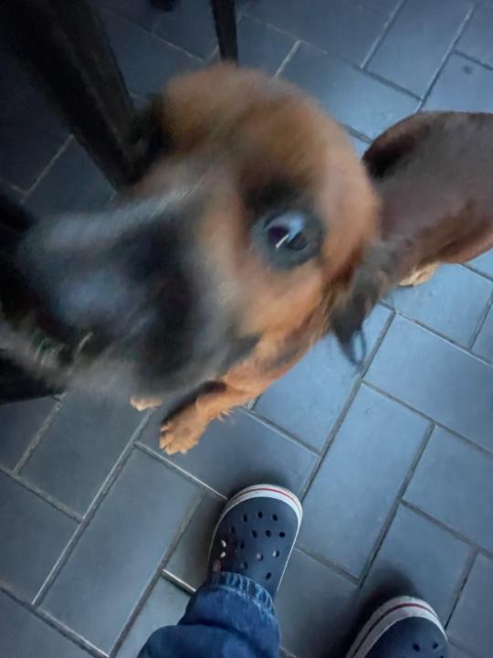 Fagner Bernardes cardoso