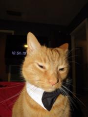 Sir Berlin