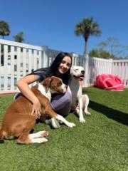 Douglania Balestrini