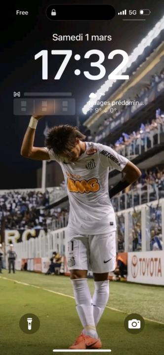 Coelho Ferreira Steil Joseph
