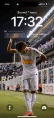 Coelho Ferreira Steil Joseph