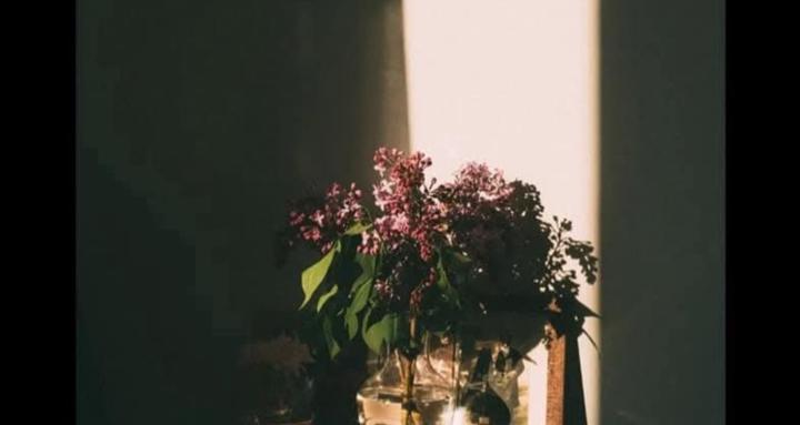 Poetic Junkie