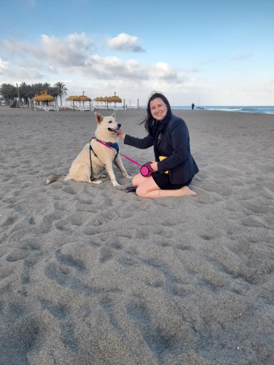 Pets conversation prompts!