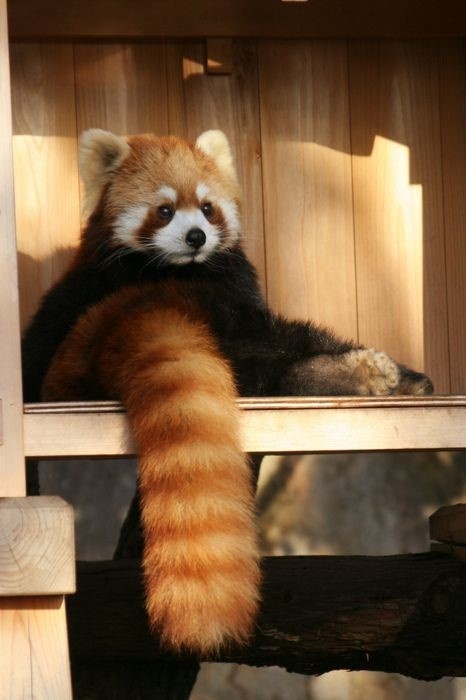 Lee Jihun