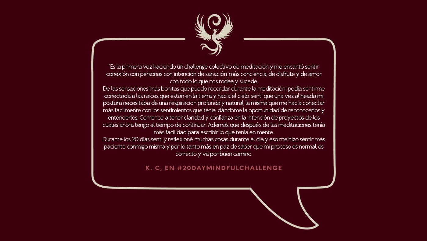 Método Ser Fénix