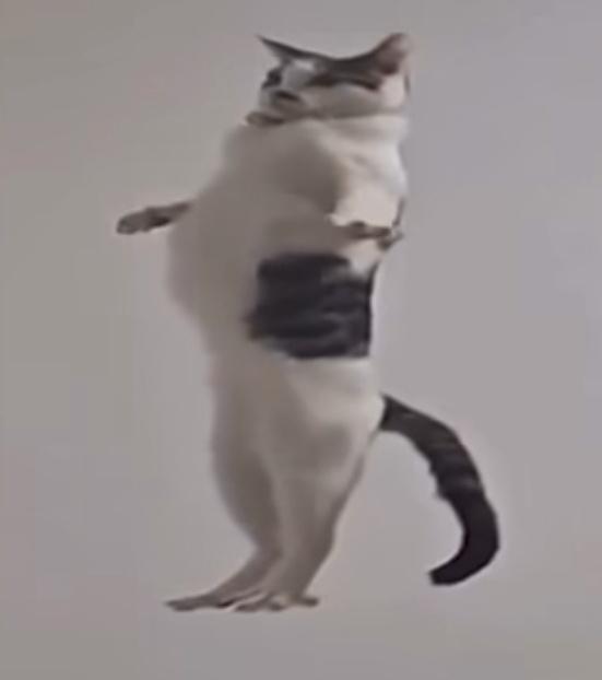 Oscar Iktan Cortez García