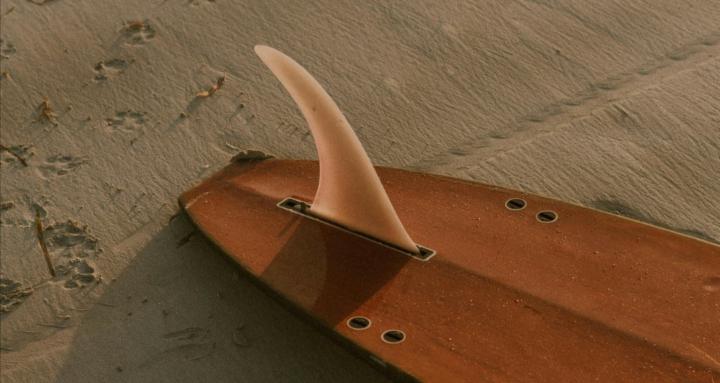 Big Five For Life Community 