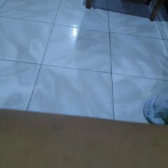 Davin Alv