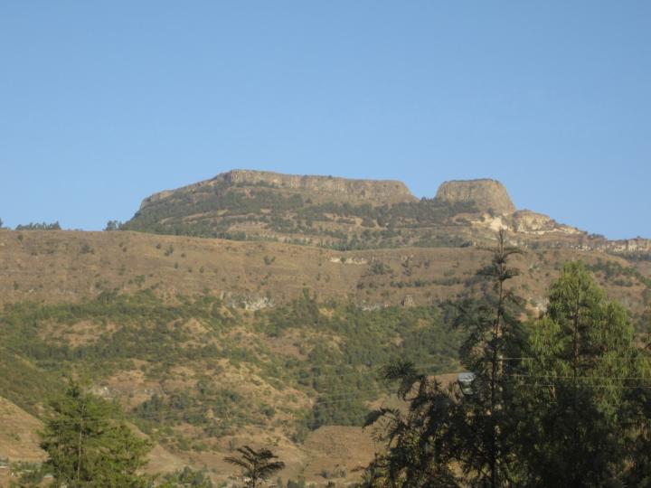 Wudeneh Mulugeta