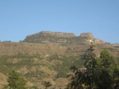 Wudeneh Mulugeta