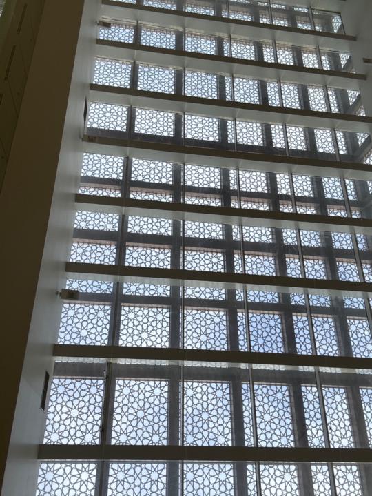 Selcan Ercilasun
