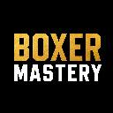 BOXER MASTERY icon
