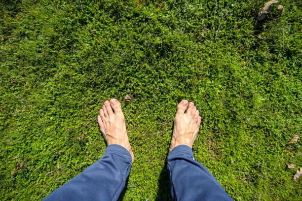 Grounding: How Earth Resets Stress and Sleep