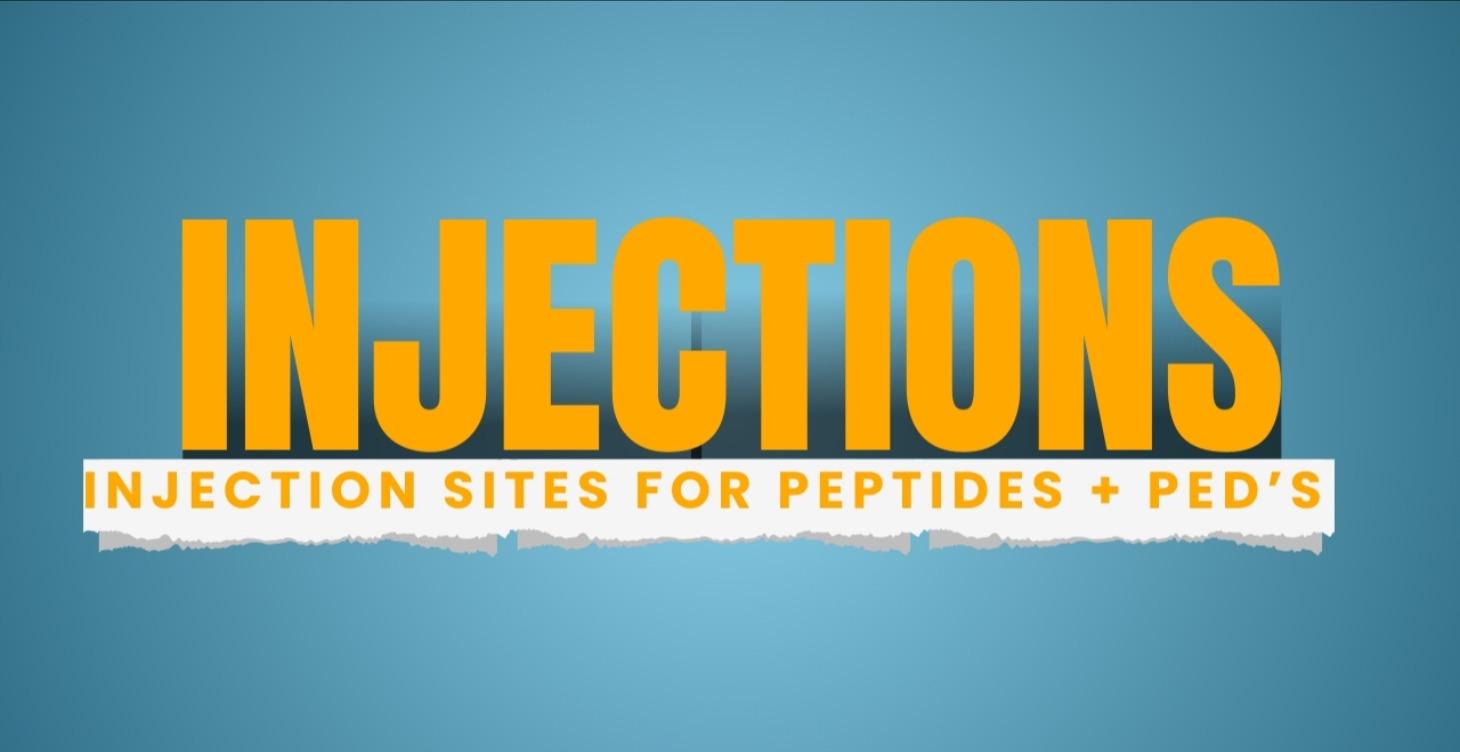 Injection Sites (Peptides + Anabolics)