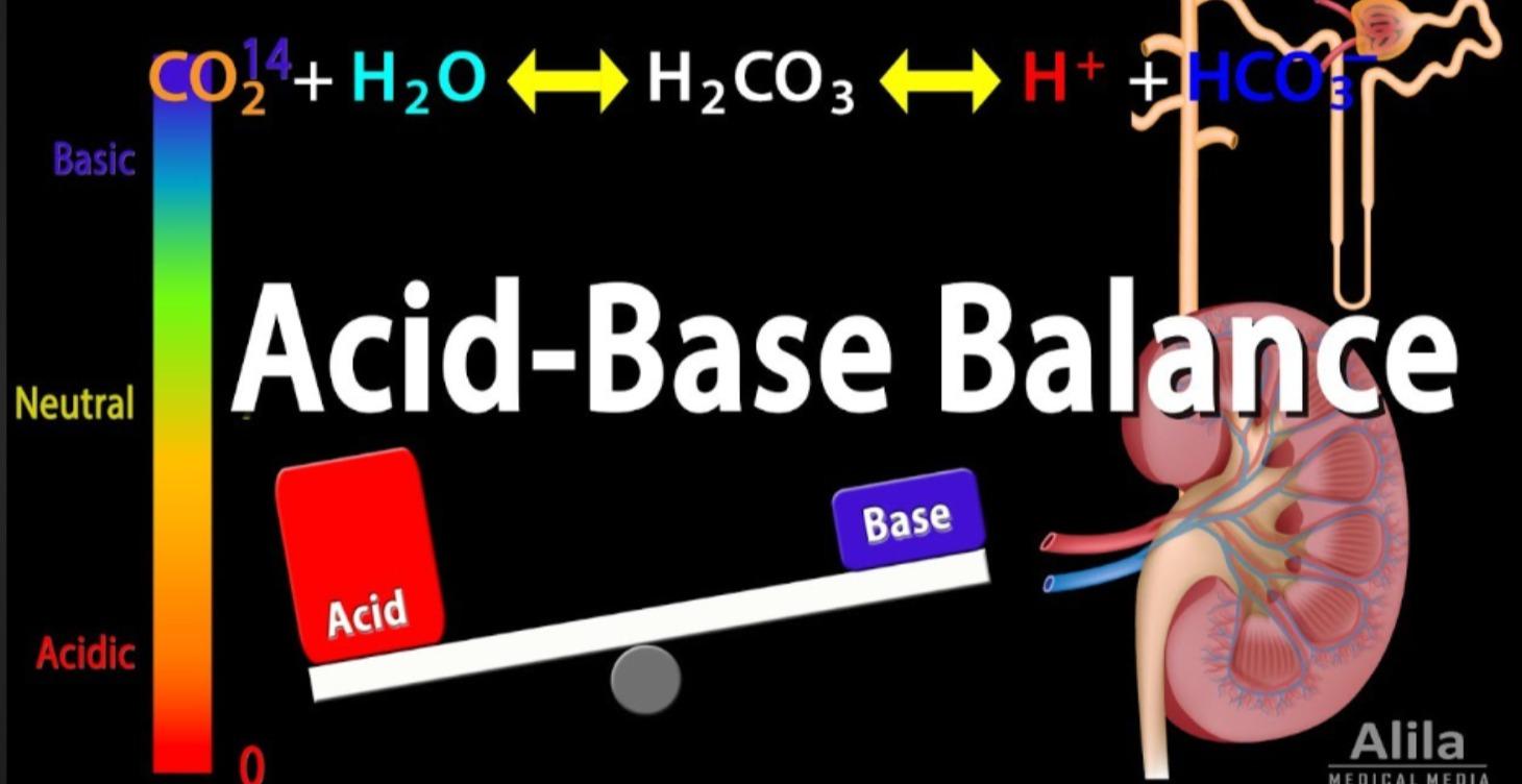 Acid Base Balance