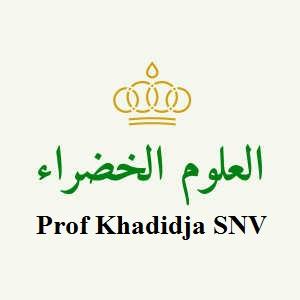 Marmi Khadidja