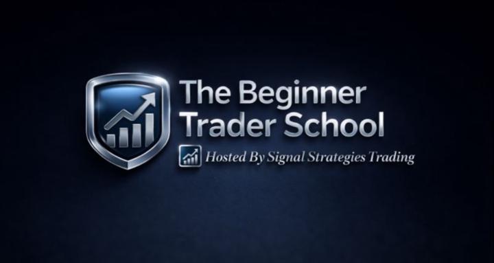 The Beginner Trader School