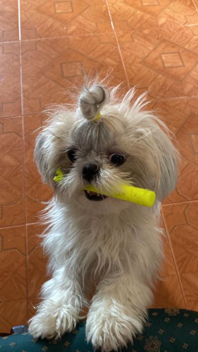 Clau O
