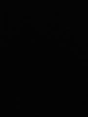 Aleksander Szerszeń