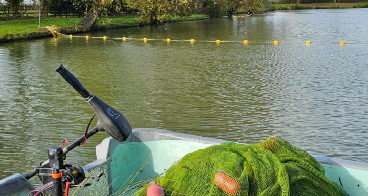 AE Fishery Management