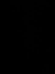 عبد العزيز الجذمي