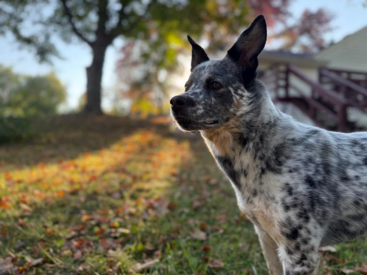 Tiffany Swindlehurst