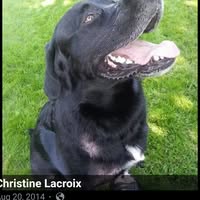Christine Lacroix