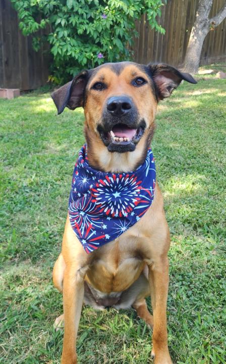 Diana Currie - Southpark Meadows Area, South Austin.  