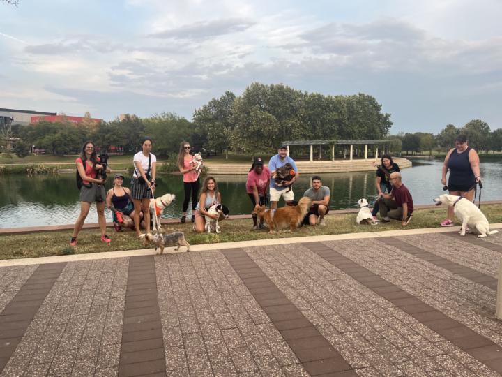 Mueller Dog Walk Photos