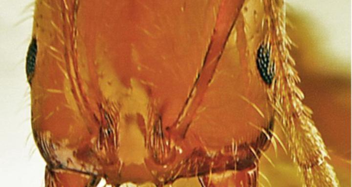 I Want No Part Of This...