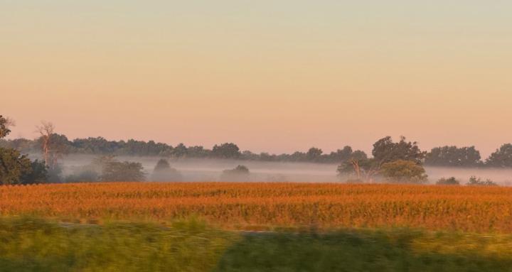 Burkholder Financial Services 