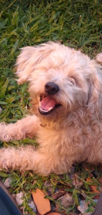 Jesus Marco Alfredo Carabajal