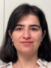 Narges Beiralvand