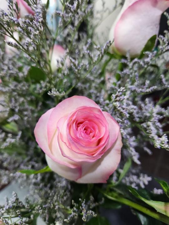 Lan Nguyễn Thị Ngọc Lan