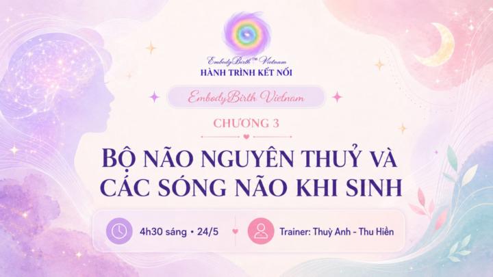 BỘ NÃO NGUYÊN THUỶ VÀ SÓNG NÃO KHI SINH - 24/5/2026