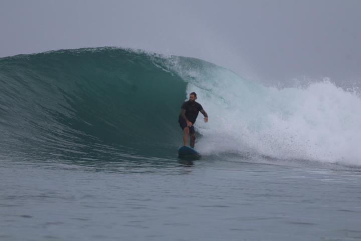 Peter Reed