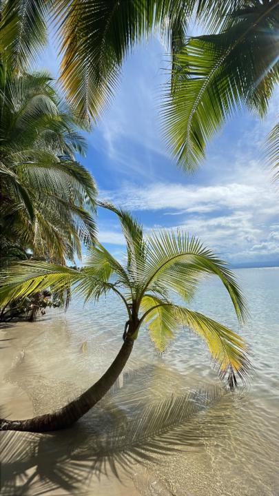 Jose Manuel González gonzalez