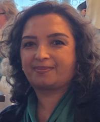 Farokh Akbari