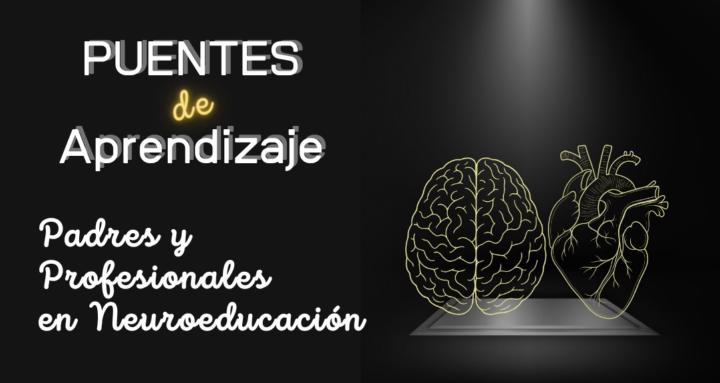 Puentes de aprendizaje