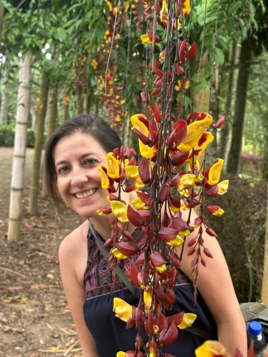 Maria Pastor