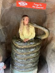 Ally Lusty