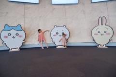 Linh An