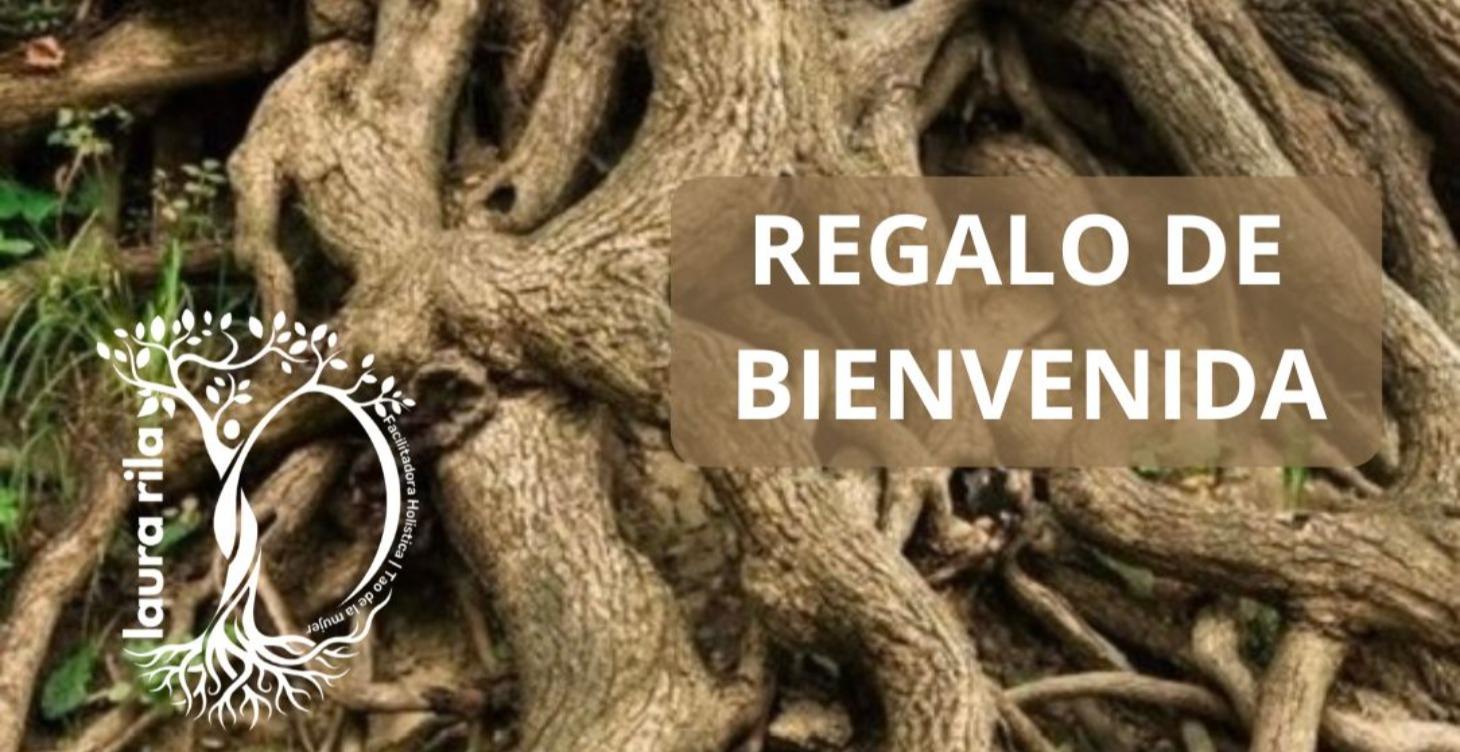 Reconciliándonos con lo Femenino