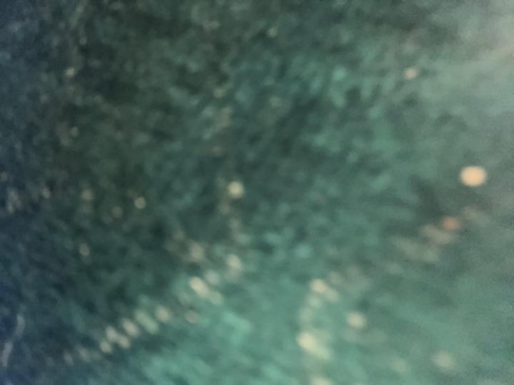 Barbara Guzman zesati