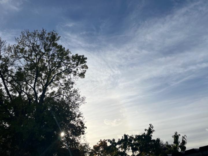 Kidus Musiie Amanuel